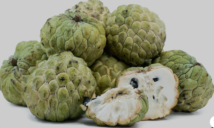 Custard Apple